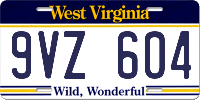 WV license plate 9VZ604