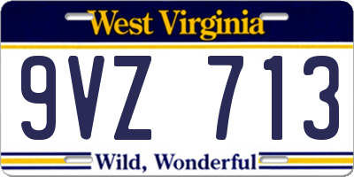 WV license plate 9VZ713