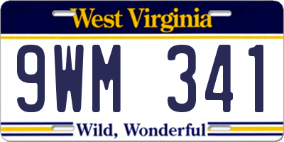 WV license plate 9WM341
