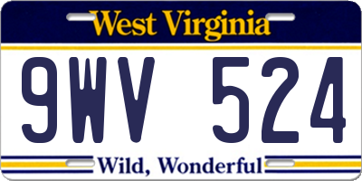 WV license plate 9WV524