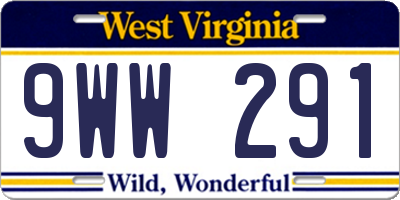 WV license plate 9WW291