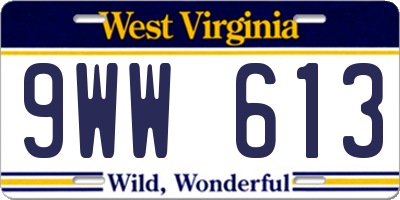 WV license plate 9WW613
