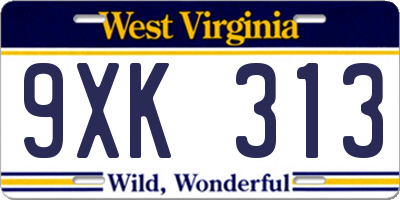 WV license plate 9XK313