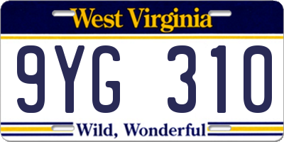 WV license plate 9YG310