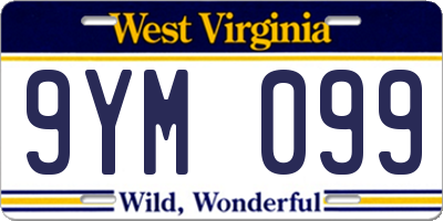 WV license plate 9YM099