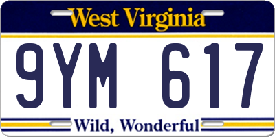 WV license plate 9YM617