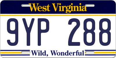 WV license plate 9YP288