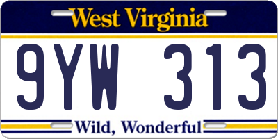 WV license plate 9YW313