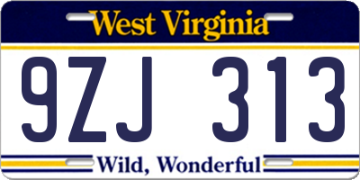 WV license plate 9ZJ313