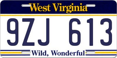 WV license plate 9ZJ613