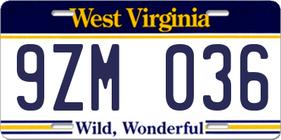 WV license plate 9ZM036