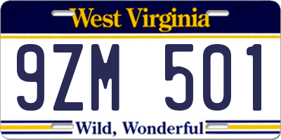 WV license plate 9ZM501