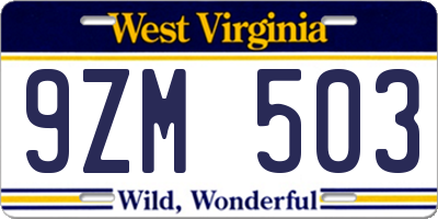 WV license plate 9ZM503