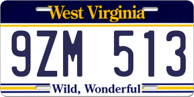 WV license plate 9ZM513