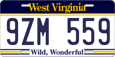 WV license plate 9ZM559