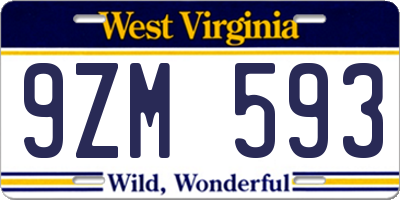 WV license plate 9ZM593