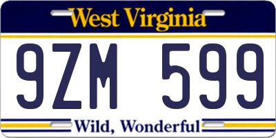 WV license plate 9ZM599