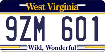 WV license plate 9ZM601