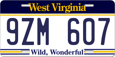 WV license plate 9ZM607