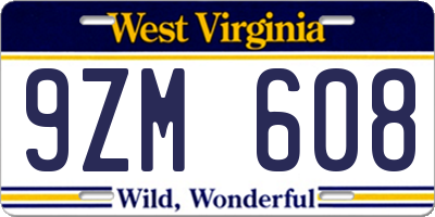 WV license plate 9ZM608