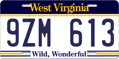 WV license plate 9ZM613