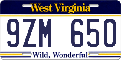 WV license plate 9ZM650