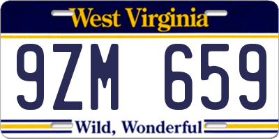 WV license plate 9ZM659