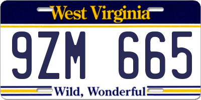 WV license plate 9ZM665