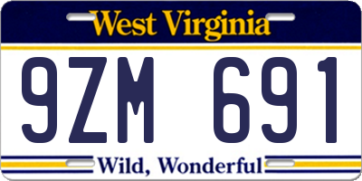 WV license plate 9ZM691