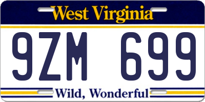 WV license plate 9ZM699