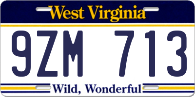 WV license plate 9ZM713