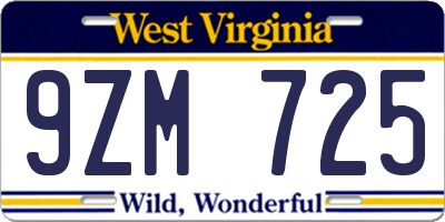 WV license plate 9ZM725