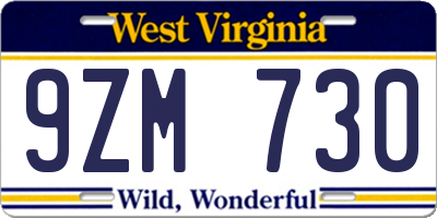 WV license plate 9ZM730