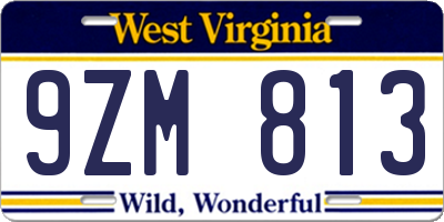 WV license plate 9ZM813