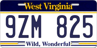 WV license plate 9ZM825