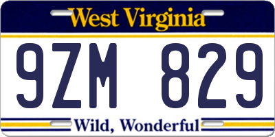 WV license plate 9ZM829