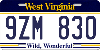 WV license plate 9ZM830
