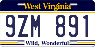 WV license plate 9ZM891