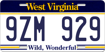 WV license plate 9ZM929