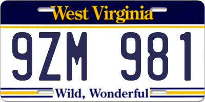 WV license plate 9ZM981