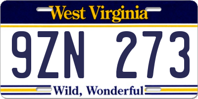 WV license plate 9ZN273
