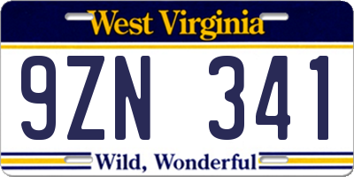 WV license plate 9ZN341