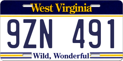 WV license plate 9ZN491
