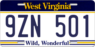 WV license plate 9ZN501