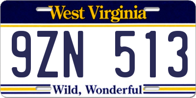 WV license plate 9ZN513