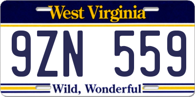 WV license plate 9ZN559