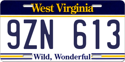 WV license plate 9ZN613