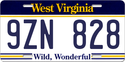 WV license plate 9ZN828