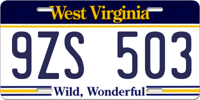 WV license plate 9ZS503