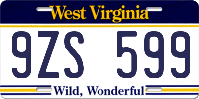 WV license plate 9ZS599